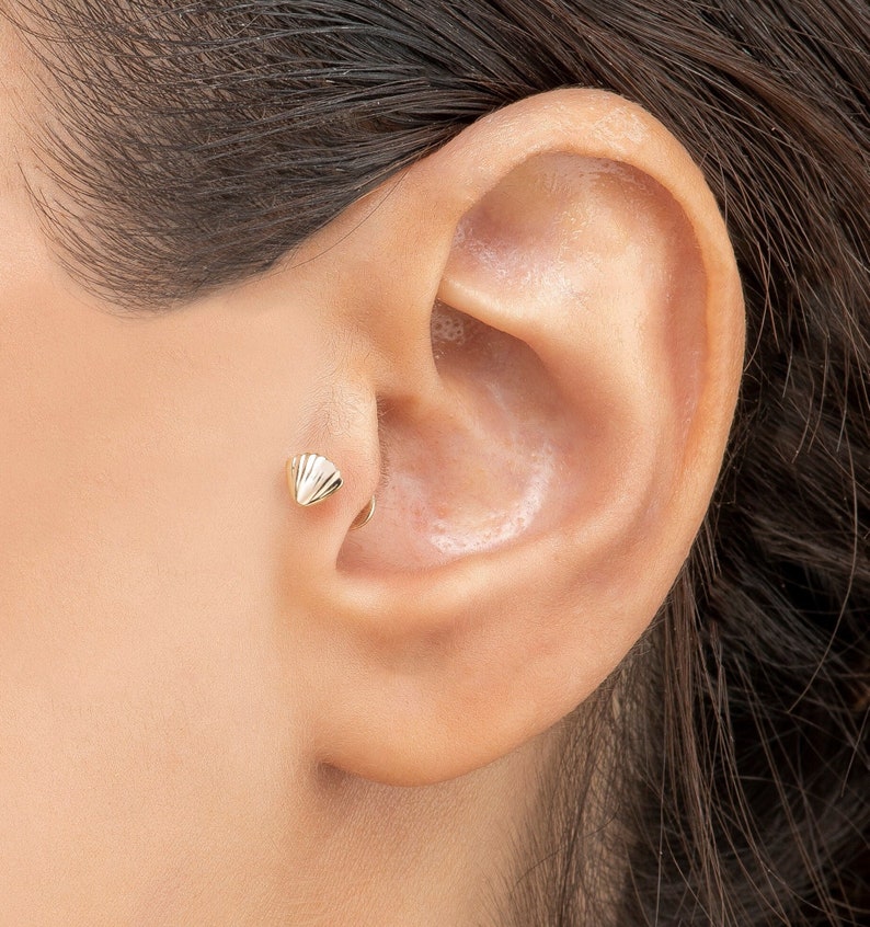 14k Solid Gold 16G Sea Shell Ear Piercing Flat Back Stud Minimalist Earring Gold Tragus Conch Stud Cartilage Ear Piercing image 1