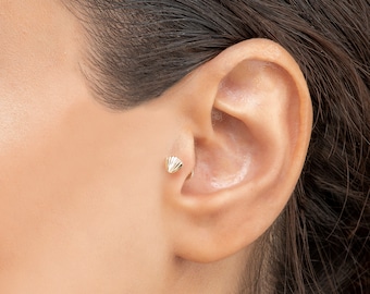 Sea Shell Piercing Etsy Sea Shell Piercing Etsy