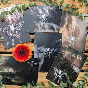 Set de cartes postales Moth Days