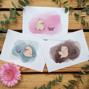 Ensemble de cartes postales signe du zodiaque eau