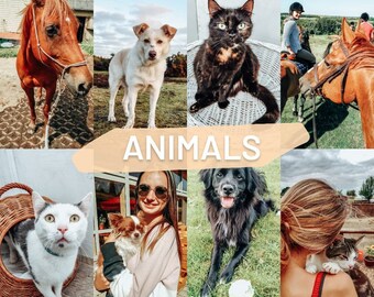 Dog Instagram Filter - Etsy