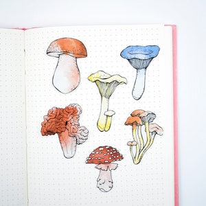 Stickers champignons / Set d'autocollants champignons / Sticker champignon vénéneux / Sticker girolles / Sticker cèpes / Sticker cervelle champignon