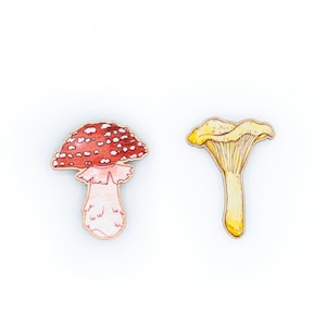 Pilz Magnet / Fliegenpilz Magnet / Pfifferling Magnet / Pilz Magnet / Pilz Magnet / Pilz Kühlschrankmagnet