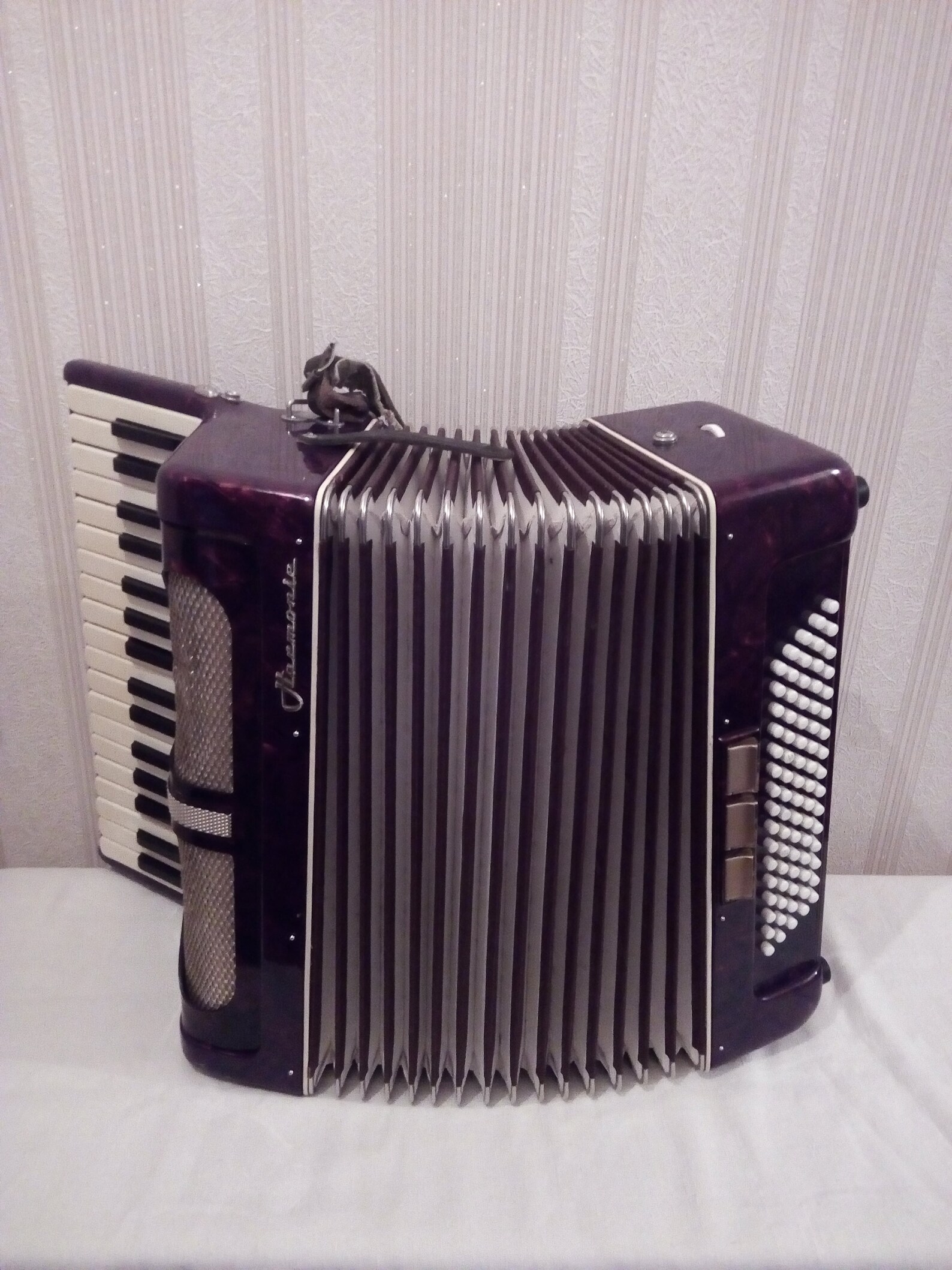 Accordion Vintage German Harmony Etsy