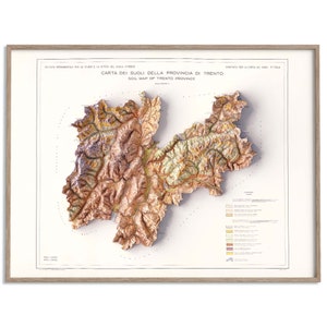 Carte des sols du Trentin (Italie) de 1965 - carte en relief ombragé affiche 2D, décoration murale beaux-arts, impression cadeau vintage, art de voyage géographie