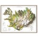 see more listings in the Europe section