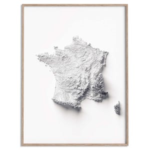 May include: A framed wall art print featuring a white, three-dimensional relief map of France. The map displays detailed topographical textures, including mountain ranges and valleys, cast against a plain white background within a light wood frame.
