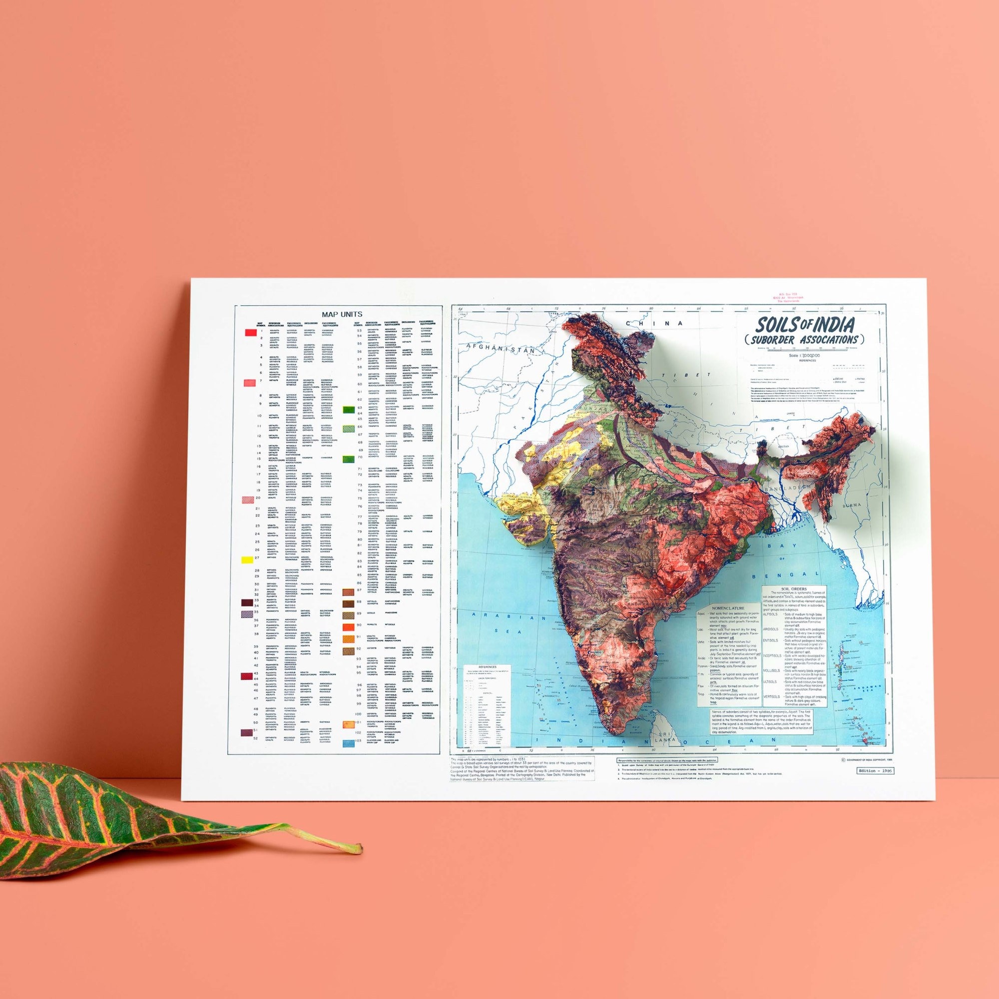 インド 1985年 土壌地図：ヴィンテージ フラットシェーディング