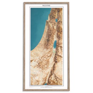 Carte d'altitude de la Palestine (satellite) - carte en relief ombragé affiche 2D, décoration murale beaux-arts, impression cadeau vintage, art de voyage géographie