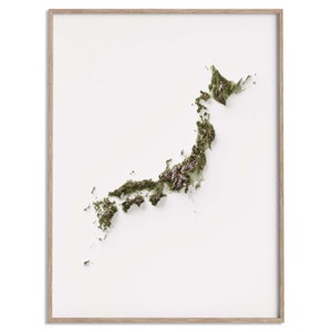 Carte des élévations du Japon (géo) - carte en relief ombragé affiche 2D, décoration murale beaux-arts, affiche de voyage géographie