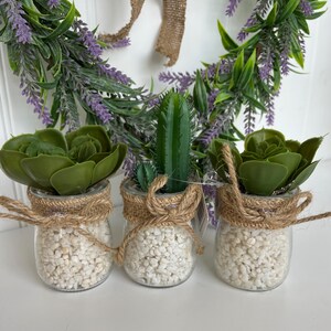 Set of Three Mini Artificial Cactus Plants, New Home Gift