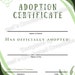 TEMPLATE ONLY, Printable, No Fuss Pet, Market Sign, Adoption ...