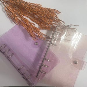May include: Two clear, glittery binders in shades of lavender and pink, with silver metal rings and snap closures. A sprig of dried, orange-brown decorative grass sits above the binders, creating a soft, textured contrast.
