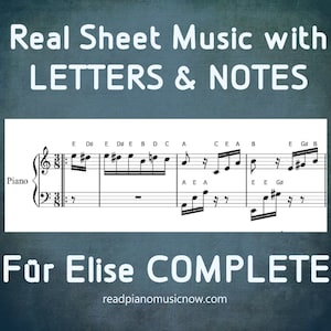 Für Elise COMPLETE | Letter Note-Names Included | Sheet Music for Piano | PDF