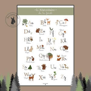 Affiche / cadre  abécédaire - enfant - cadeau de noel - alphabet - thème forêt - apprendre