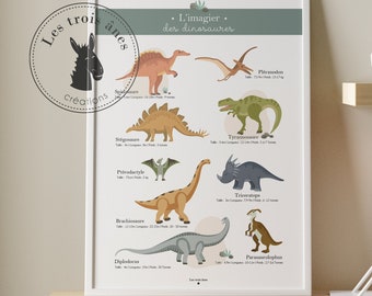Affiche imagiers - Dinosaures - T-Rex - tous les dinosaures - apprendre