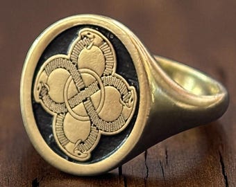 Anillo Ouroboros, Anillo con sello de nudo de serpiente infinito, Anillo para el meñique con talismán de serpiente, Joyería con cola de serpiente, Regalo de cumpleaños para ella, Regalo para él