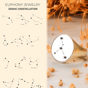 Personalisierter Sternzeichen Sternzeichen Siegelring, Silber gravierter Astrologie Ring, Personalisierter Sternzeichen Ring für Frauen, Geburtstagsgeschenk für Sie