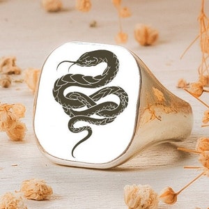May include: A silver signet ring with a black snake design. The ring is square shaped and has a white background.