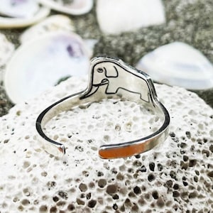 Anillo de El Principito, Anillo de Elefante Oculto Ajustable, Anillo con Sombrero o Boa, Anillo Relleno de Oro, Joyas Literarias, Regalo Sorpresa, Regalos para Ella