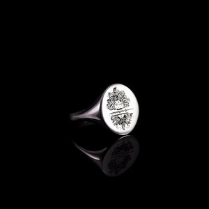 May include: A silver signet ring with a detailed engraving of a mythical creature with snakes for hair. The ring has a rounded oval shape.