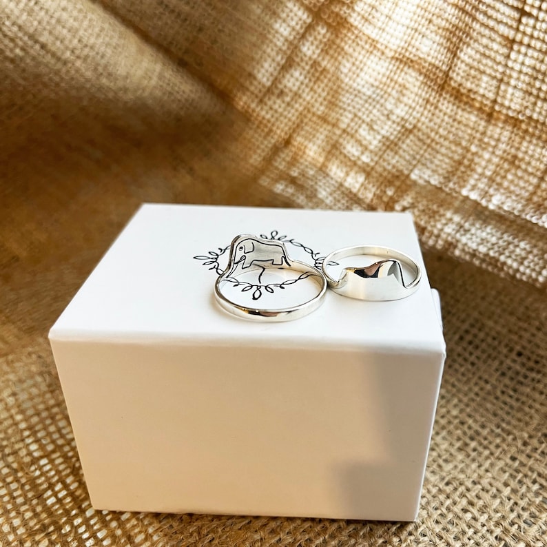 La bague en argent du Petit Prince, la bague éléphant caché, un chapeau ou une bague boa, une bague remplie dor, des bijoux littéraires, un cadeau surprise, des cadeaux pour elle image 3