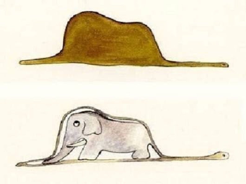 Puede incluir: Un sombrero marr&oacute;n con un cuello largo y delgado y un elefante gris que lleva el sombrero.