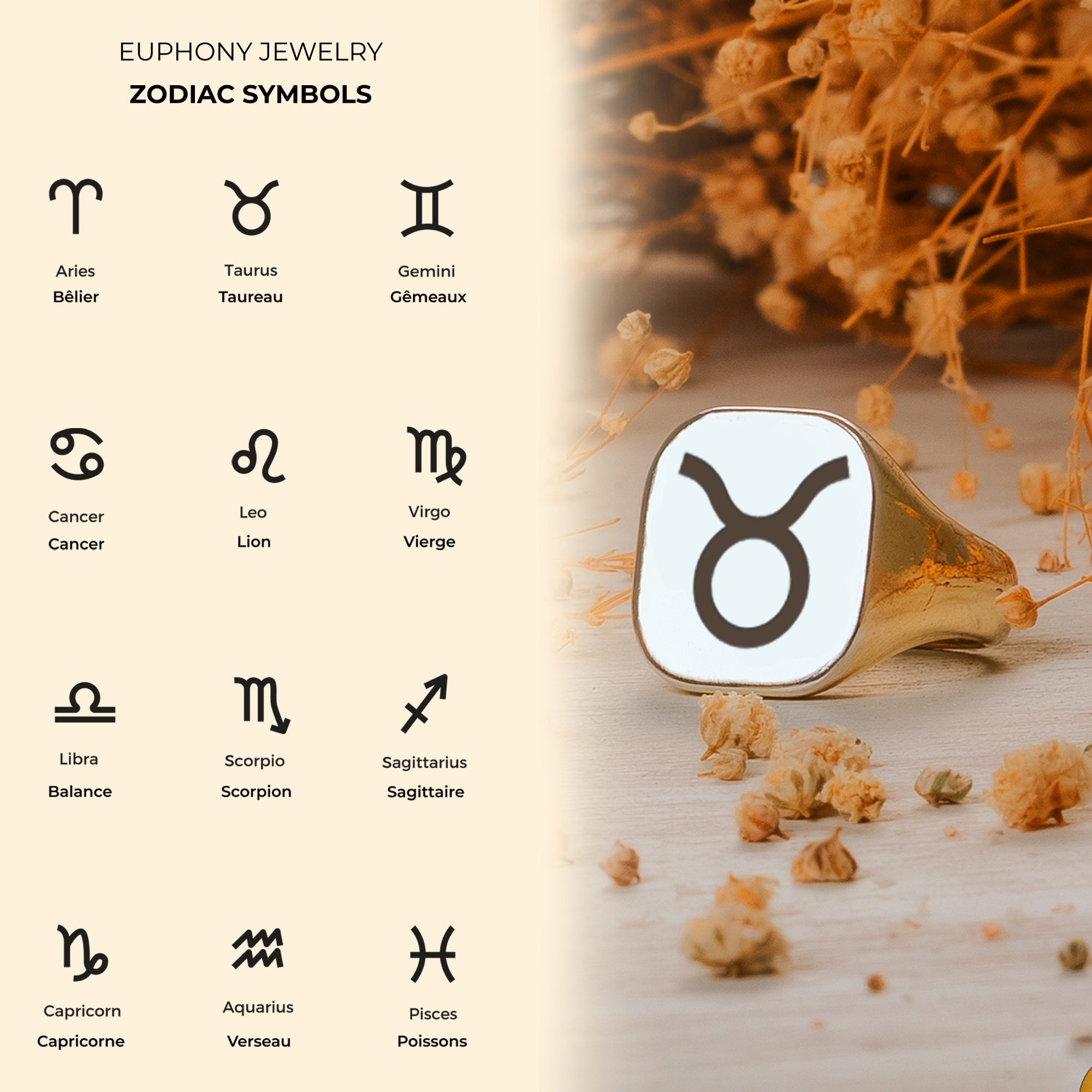 Zodiac Sign Rings, Astrology Rings, Personalized Horoscope Rings ...