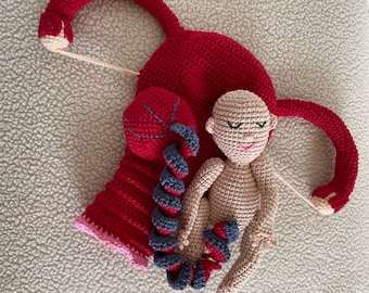 Set with baby, umbilical cord, placenta and uterus for birth educator - midwives- doulas - midwifery - antenatal teaching aid - ob-gynae