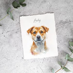 May include: Watercolor painting of a brown and white dog with the name "Lucky" written above it.