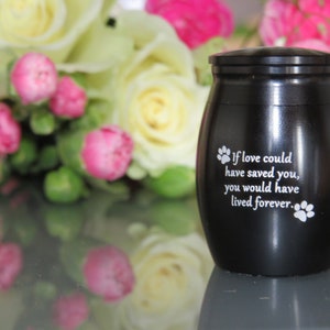Mini pet cheap urns