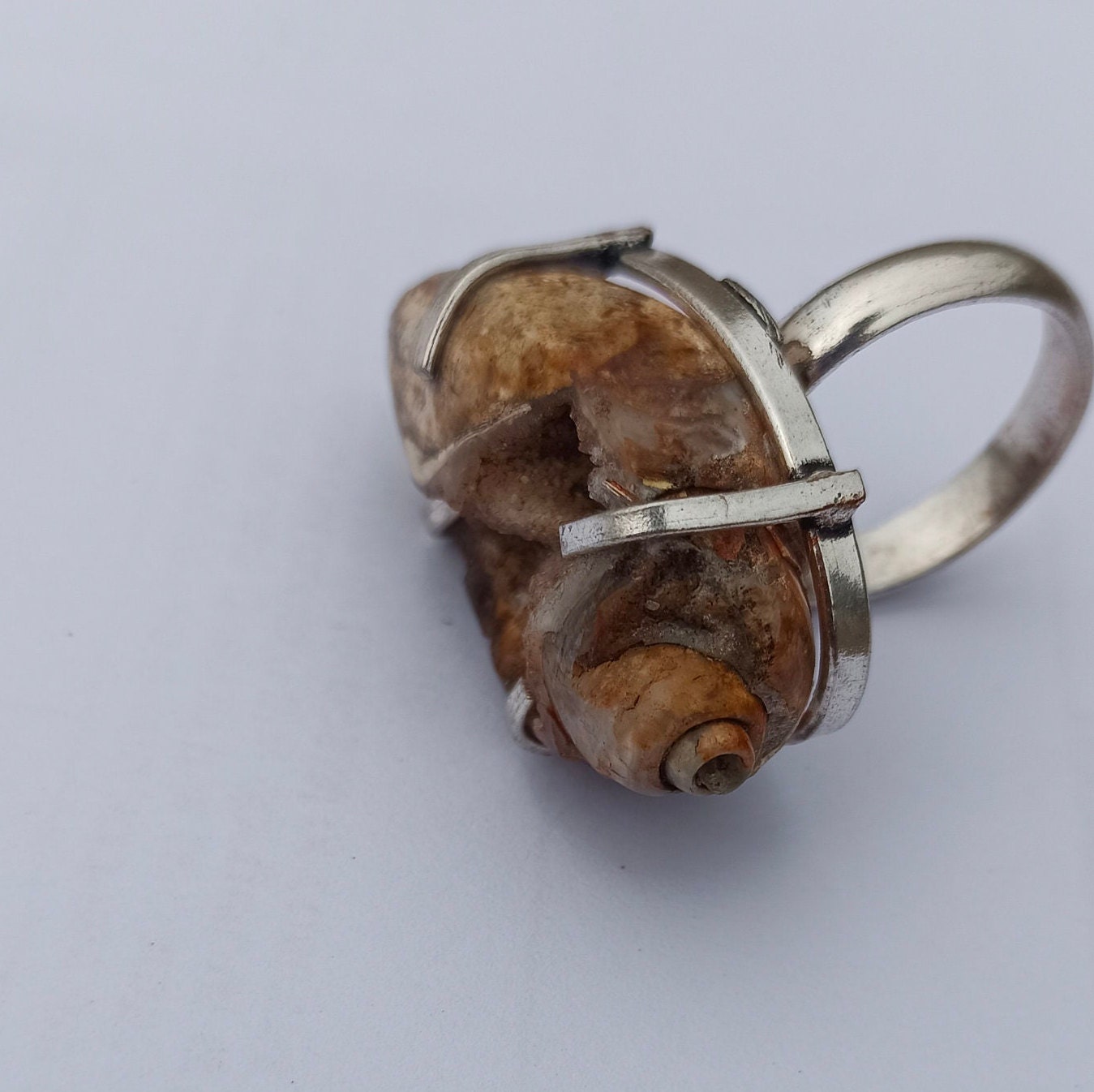 VINTAGE .925 DRUZZY FOSSILIZED SHELL RING Blue Apatite Drusy Fossil Shell Ring 925 Sterling Silver  main image 2
