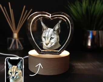 Cubo de fotos 3D / Cristal de memoria / Impresión de cristal / Arte de cristal / Trofeo de cristal / Regalo premium para todos