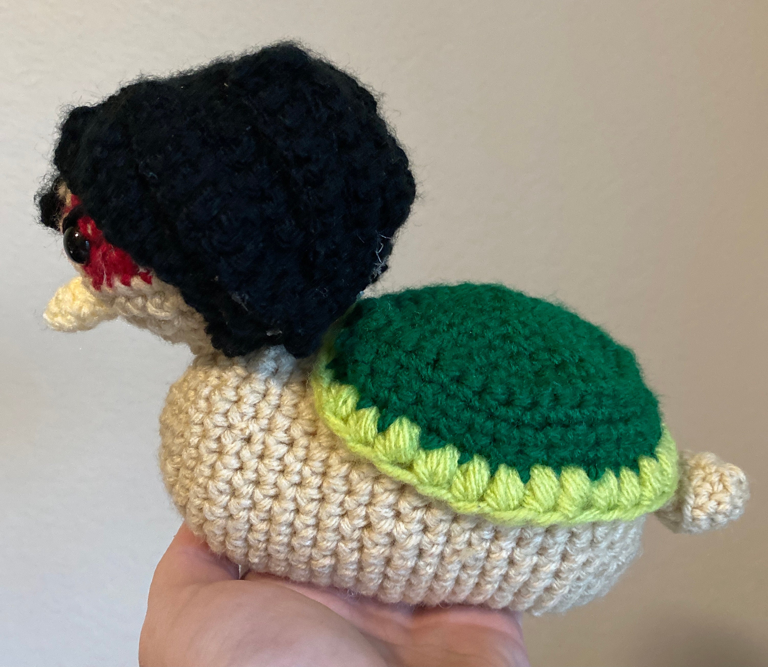 Crochet Zuko Turtle Duck pattern Etsy