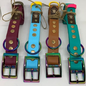 Buckle biothane dog collar with rainbow hardware