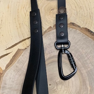 Extra strong black biothane dog leash with safe lock climbing carabiner plus half-martingale