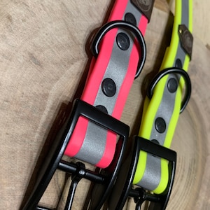 Può includere: Due collari per cani con fibbie nere e strisce riflettenti. Un collare è rosa neon con una striscia riflettente argentata e l'altro è giallo neon con una striscia riflettente argentata.