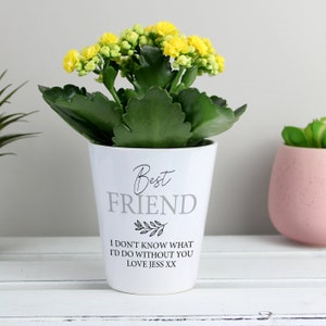 May include: White ceramic planter with the text "Best Friend" and a small leafy plant with yellow flowers. The text below reads "I don't know what I'd do without you Love Jess xx".