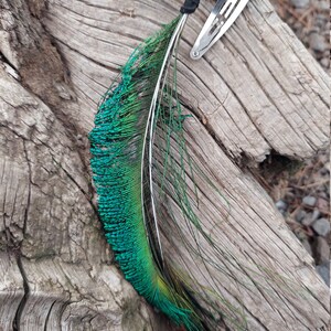 Peacock hair clip