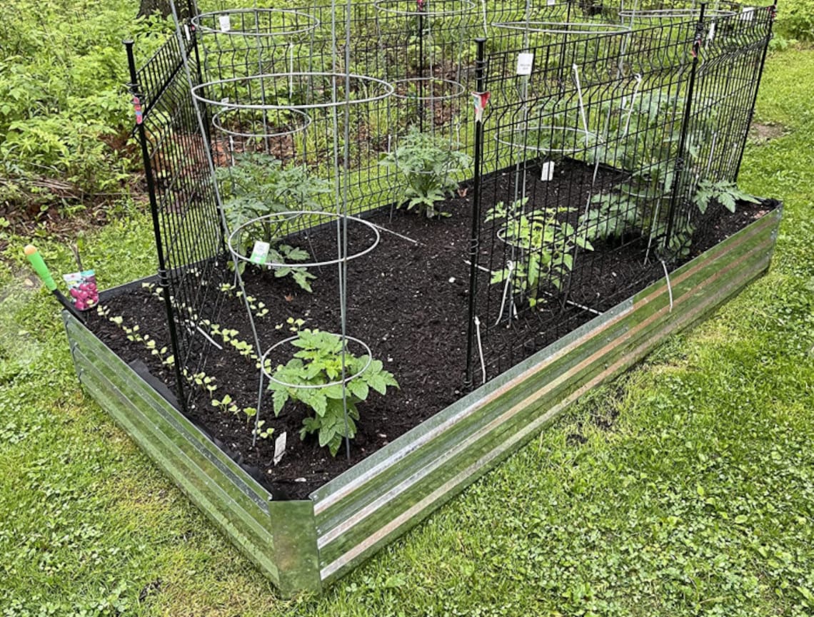 Galvanized Raised Garden Beds for Vegetables Large Metal Etsy