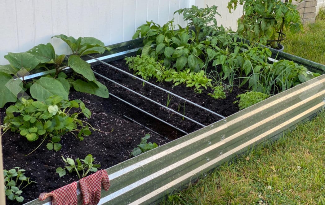 Galvanized Raised Garden Beds for Vegetables Large Metal Etsy