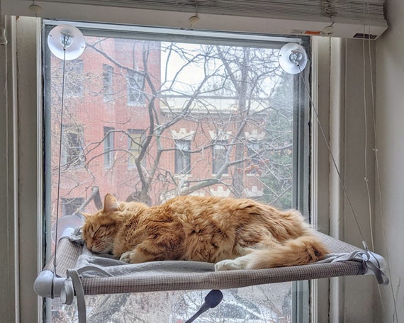 large cat window perch