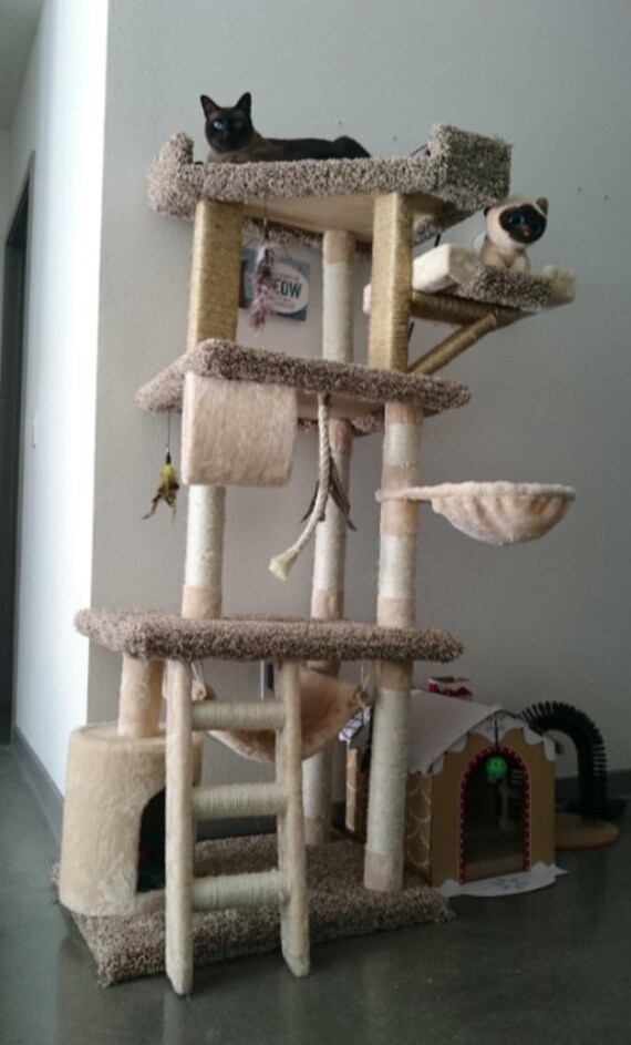 62 inch cat tree