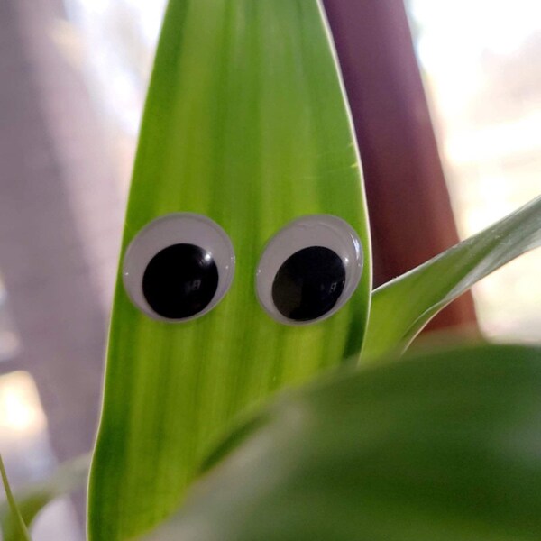 Googly Eyes Etsy
