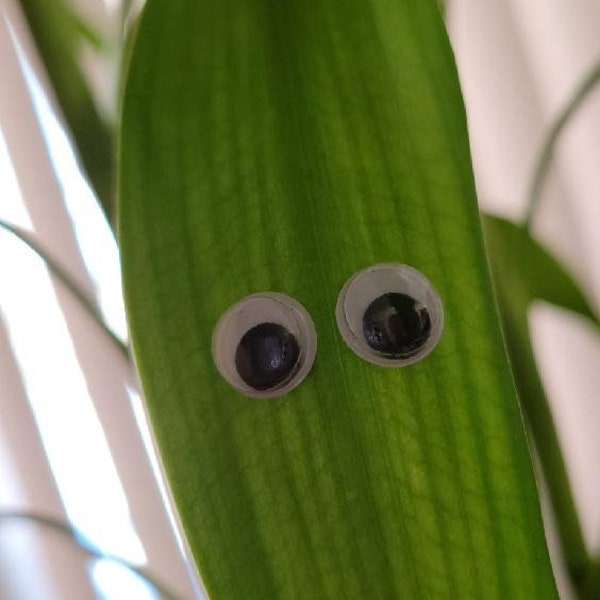 Small Magnetic Plant-safe pins Googly Eyes Leaf Plant Magnet