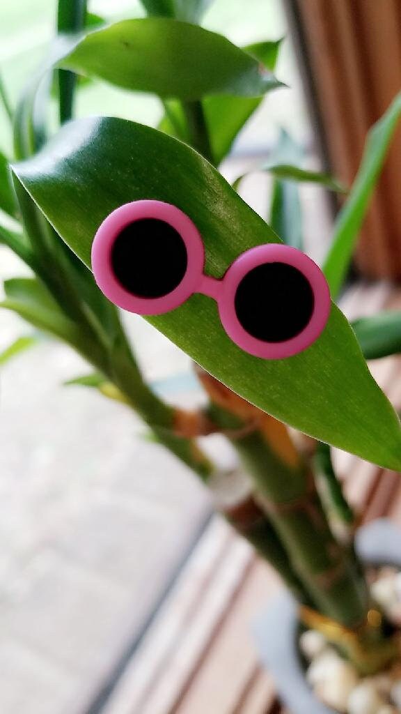 plantsafe pins Pink Sunglasses Leaf Plant Etsy