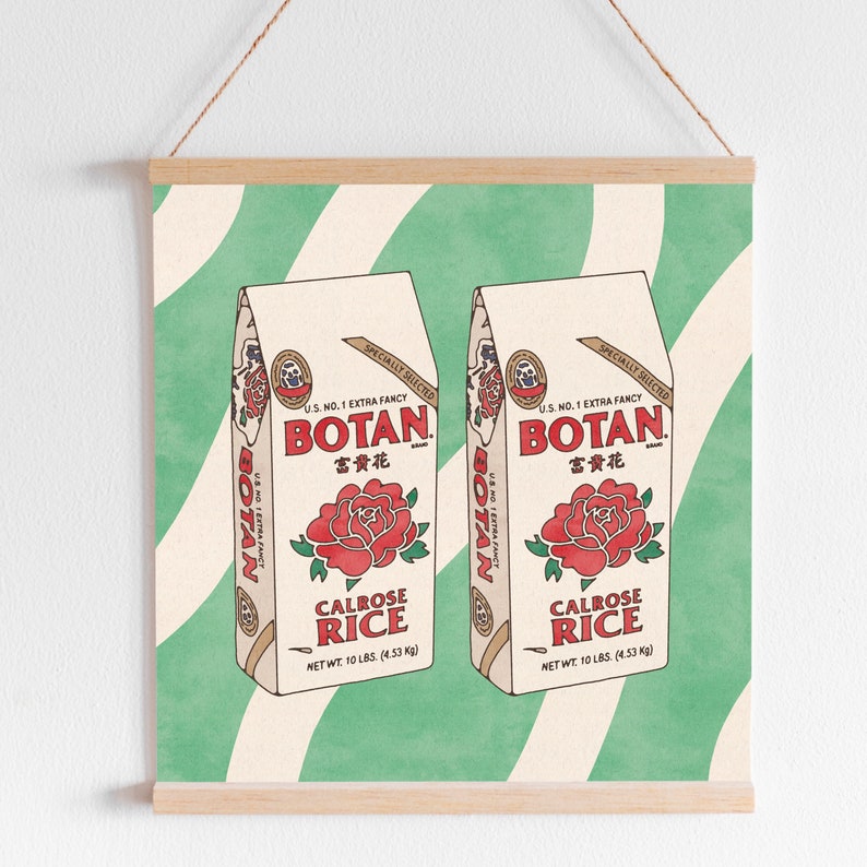 Boriki Rice Botan Rice Poster Print Retro Asian American Cute Foodie Illustration ...