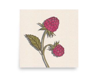 Cartel de frambuesa Berry Cocina Botánica PNW Portland Chef Pastelero Cocinero Fruta Ilustración Simple Dibujo Pintura Rosa