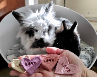 Rabbit Treats, Heart Love Treats, Bunny Treats, Natural and Organic Treats