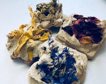 Bunny Floral Biscuit Squares, Organic Dried Flower Rabbit Treats, Handmade and Organic Treats | Blue Cornflower, Sunflower, Daisy, Rose